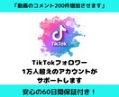 Tiktokのコメントを200件増やします ☆安心の60日保証☆動画が回るコメントを集客します！ イメージ1