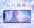 SNS・配信向け短尺PR動画を制作します 世界観を大切にした短尺動画を制作します イメージ1