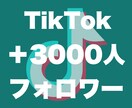 Tiktokフォロワー3000人増やします 評価貯まるまで最安★フォロワー確実に増加させます！ イメージ3
