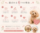 うちの子　写真からフォトリアル　アイコン制作します お気に入りの写真3枚で、世界にひとつのアイコンに♪ イメージ5