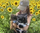 ペットの動画つくります 愛するペットの冒険を動画にします。 イメージ2