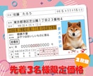 本物そっくり！ペットのオリジナル免許証を作ります 嬉しい2枚セット！丈夫なプラスチック製オリジナルペット免許証 イメージ1