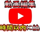 YouTuber必見！動画編集を1日で納品します 現役YouTuberが再生の取れる動画編集を行います！ イメージ1