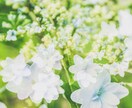 1週間✨あなた様の側に居ます 雑談＊お悩み相談＊気軽に連絡できるお友達( ⁎ᵕᴗᵕ⁎ ) イメージ2