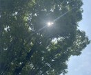 不登校相談、進学相談、通信制高校選びがわかります 通信制高校、特別支援学校、有名私立中高の指導経験 イメージ1