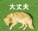 絶望・生きることが辛い方、お気持ちお聞きします あなたの苦しみ・孤独を、1人で抱えなくていい場所です。 イメージ6