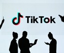 TikTokの運用をトータルサポートします マーケティングの知見を活かし、運用プランを提案いたします イメージ1
