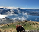 NZ・UK！ワーホリの相談・準備サポートします 現在ワーホリ中の私が、ワーホリの不安・疑問を一緒に解消します イメージ6