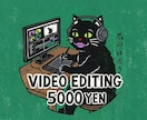ご要望に沿った動画編集を致します 親身になってクライアント様のご期待にお応え致します イメージ1