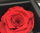 20代女性へのプレゼント選びますます 今どき若者の流行を取り入れて喜ばれよう!男性宛でも対応可能 イメージ1