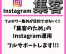 毎月3名限定/Instagram集客サポートします 集客のためにプロが一からアカウントをリデザインします！ イメージ1