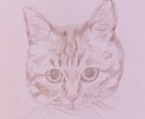 可愛いペット(犬、猫、なんでも)イラスト作成します 写真をお借りし、シャーペンで細かい所までリアルに描きます。 イメージ1