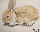 スポーツ動作の絵を描けます YouTube、SNSでの発信実績あり イメージ8