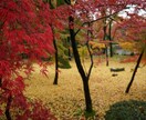 国内旅行の風景写真提供します インスタやブログ、その他商材利用OKです。 イメージ4