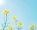 私って毒親？これって虐待？不安な気持ち寄り添います 子供に優しくしたいのに怒ってしまう、変わりたい！を応援します イメージ8