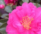 写真代行します！ イメージ1