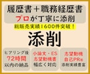 添削プラン　職務経歴書や応募文章をプロが添削します プロ品質の文章を作成/結果に直結　総販売実績1600件突破 イメージ1