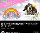 動物専門※我が子の気持ちお伝えします チャネリング(会話)しながらオラクルカードを引く独自手法 イメージ1