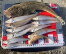 完全初心者向け、釣りの楽しさ教えます 釣り歴20年の私が釣りの全てを伝授いたします！ イメージ1