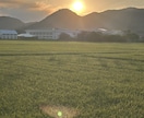 心に寄り添う、あたたかな対話を大切します 今日もおつかれさま少しだけお話しませんか？ イメージ2
