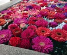 電話で⭐︎【5分からOK】あなたのお話聴きます 博多弁女子がLGBTや性のお悩み、雑談まで何でも聴きます˚✧ イメージ4