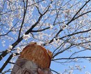 4児の母があなたの育児の悩みを聞きます 1人で抱えないで、大人と話して、気分転換しましょう！ イメージ1