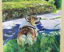 家族の肖像画(ペット)などを描かせていただきます 肖像画、風景画を、クレヨンや鉛筆で描かせていただきます。 イメージ1