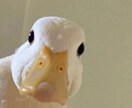 中国に留学する方手続きお手伝いします 現役中国留学生が全力でアシストします！ イメージ1