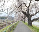 宮城県のおすすめ観光スポットをプランニングします 人生＝宮城歴のOLがどんな人とでも楽しめる提案をします。 イメージ4