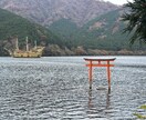 看護師の恋愛占。否定せずあなたの心に寄り添います 「看護師の傾聴×ご機嫌力｜恋も人生もやさしく整える相談」 イメージ1