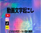 YouTubeやショート動画の文字起こし承ります ＊各種SNS対応可能！1分100円&ケバ取りコミコミ料金！！ イメージ1