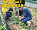 地域体験コンテンツ・イベントの企画支援します 地域資源を活かした体験を企画・提案！ イメージ3