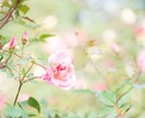 1日愚痴 聞きます 1日愚痴や相談聞きます、話し相手でもOK！ イメージ2