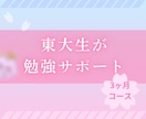 3ヶ月！東大・塾講師が勉強計画を徹底サポートします 学習計画のアップデート、質問回答、メンタルサポート イメージ1