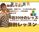1回30分の英語のレッスンをします 14年経験×米国経験の英語講師 イメージ1