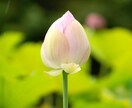 開運♡超特価300円➡︎120円♡魂で観ます 内なる迷いを晴らしていく、魂の声に耳を澄ましてください。 イメージ10