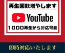 YouTube　動画　再生回数　伸ばします YouTubeの再生回数1000回～　収益にも役立ちます イメージ1