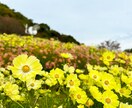 嫌な上司、腹立つ同僚への愚痴聞きます 心の重りを少しでも軽くするお手伝いをさせてください イメージ7