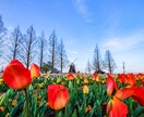あなたの希望する写真を撮ります 実際にその場にいるような写真を撮ります！ イメージ5