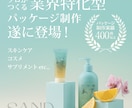 シンプルで洗されたオリジナルパッケージを制作します マーケティングの観点から商品の世界観を立案！企画書の制作も！ イメージ1