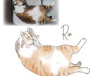 寝ている猫ちゃんを水彩画タッチで描きます 水彩タッチのほんわか優しいうちのこイラスト イメージ2