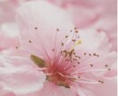 心の曇りガラスを拭き取ります 少しでも、貴方の心が癒されますように(*´꒳`*) イメージ2