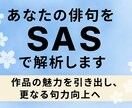 俳句添削・評価｜SAS俳句分析します 俳句添削で物足りない方へ構造から読み解きます イメージ3