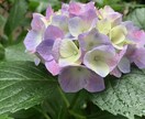 タロットで「恋愛・結婚」について鑑定します 6枚2組のカードで質問１つを、ワンコイン鑑定します。 イメージ1