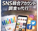 小規模向けSNS競合アカウント事例調査を代行します SNS運用事例を分かりやすく整理、比較 イメージ1