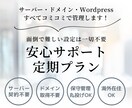 サーバー＆ドメイン管理・保守をまるっと代行します 【安心サポート定期プラン】面倒な契約・設定も全部おまかせ イメージ1