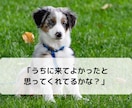 愛するペットの本音を知りたい！サクサク鑑定します 【先着10名様！】実績4600件のスピード鑑定♪ イメージ3