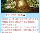 帝王学、陰陽五行論を使用して宿命鑑定を行います 人生の道しるべとなるサポートを提供しています。 イメージ3