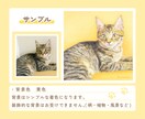 おうちの猫さんのイラストを描きます 【可愛さ満載イラストオーダー】アイコン・グッズ・プレゼントに イメージ4