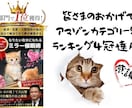 なりたい自分になれる★ミラー催眠術を教えます アファメーションの言葉を一緒に作ります。質問にお答えします。 イメージ3